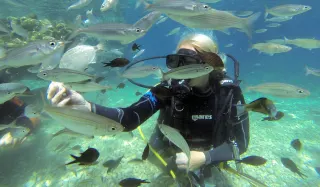 Fethiye Scuba Diving - 1