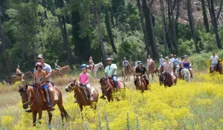 Kusadasi Horse Safari - 1